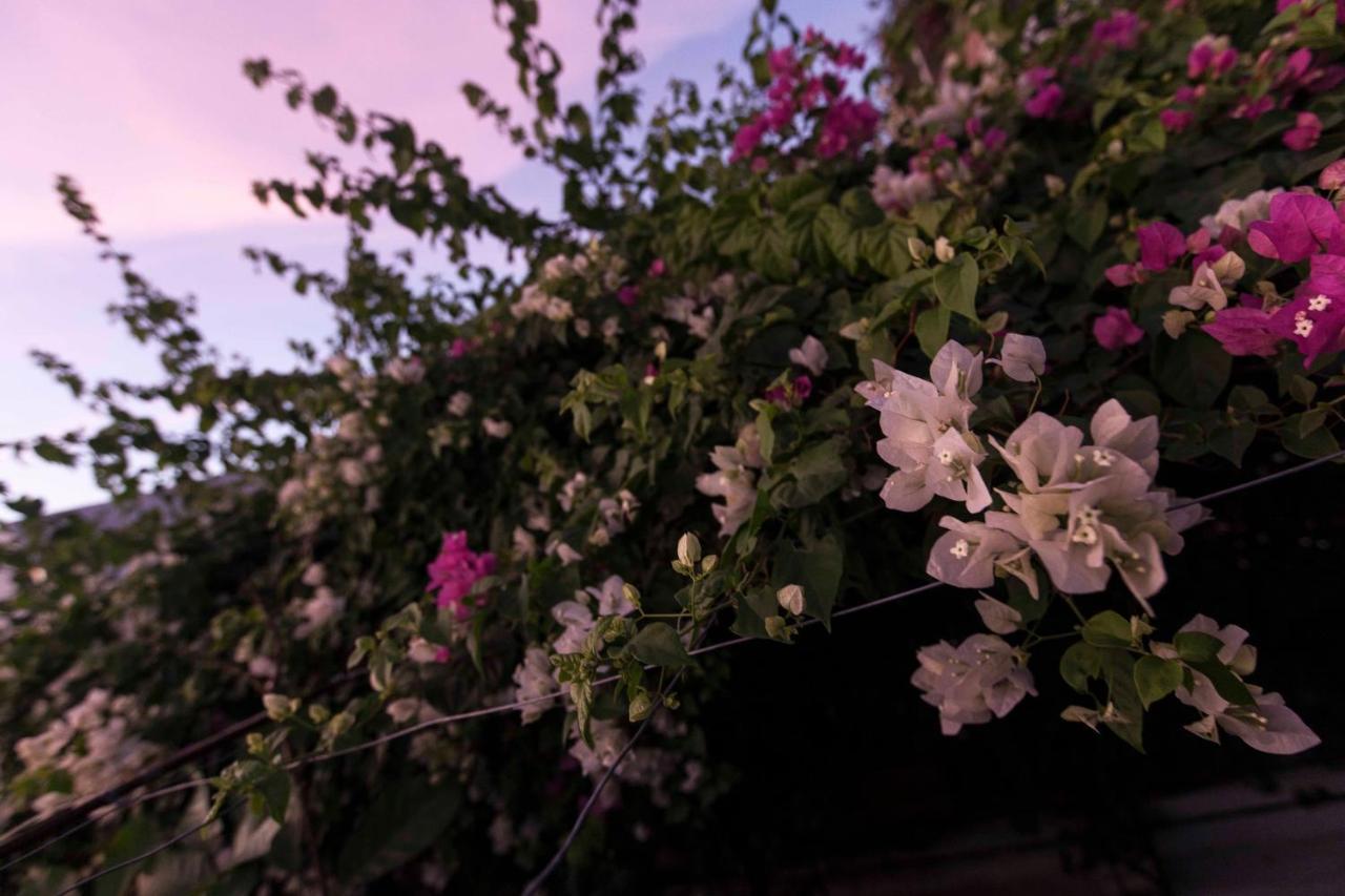 Bed and Breakfast Mauricio Babilonia Santa Marta  Esterno foto